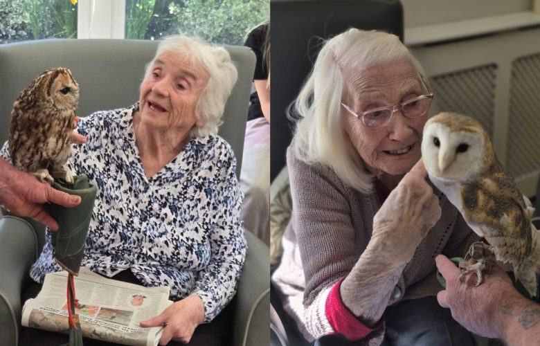 Press release images collage templates 2026 04 08T151616.153