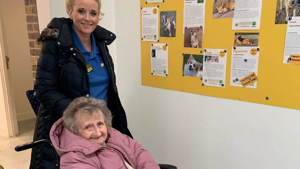 Crowstone House Residents Enjoy Heartwarming Visit to Dogs Trust Basildon 1 Press release images collage templates 2026 04 10T100657.055