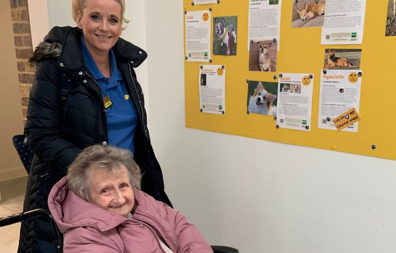 Press release images collage templates 2026 04 10T100657.055