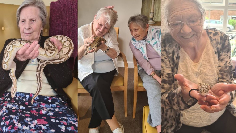 Press release images collage templates 2026 04 24T091850.210