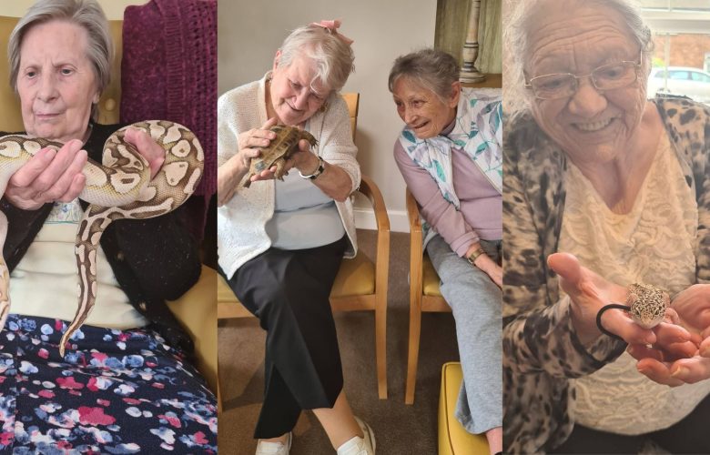 Press release images collage templates 2026 04 24T091850.210