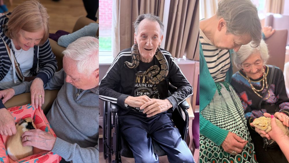 Press release images collage templates 2026 04 24T102127.535