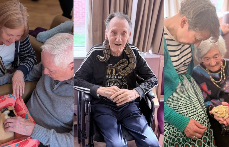 Press release images collage templates 2026 04 24T102127.535