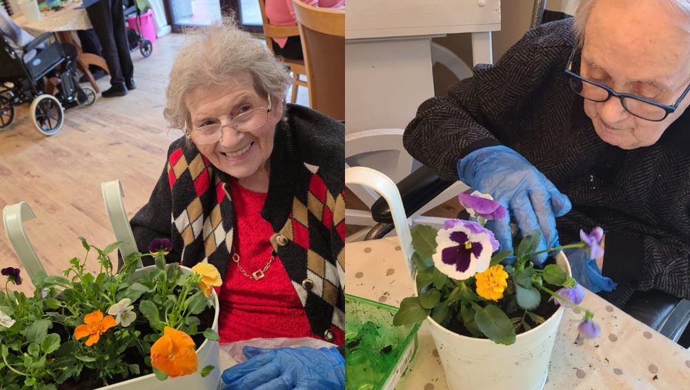 Press release images collage templates 2026 04 27T100057.743