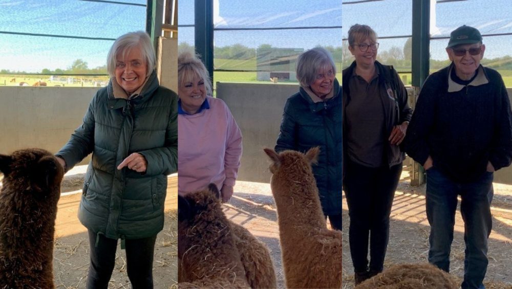 Press release images collage templates 2026 04 27T104200.391