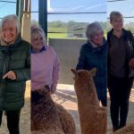 Press release images collage templates 2026 04 27T104200.391