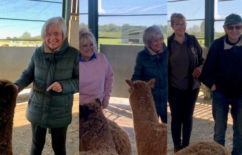 Press release images collage templates 2026 04 27T104200.391