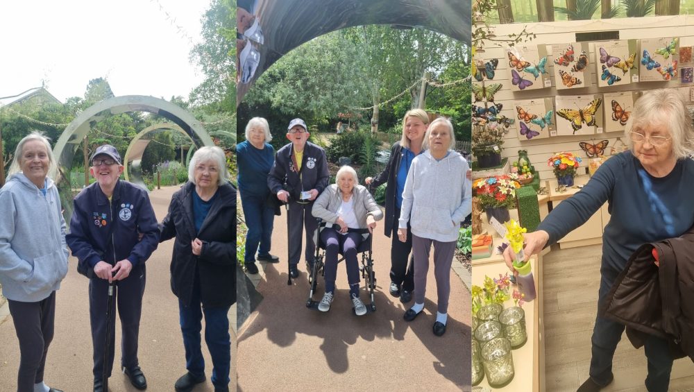 Residents at Four Acres Enjoy Day Trip to Stratford Butterfly Farm 1 Press release images collage templates 2026 05 08T110452.140