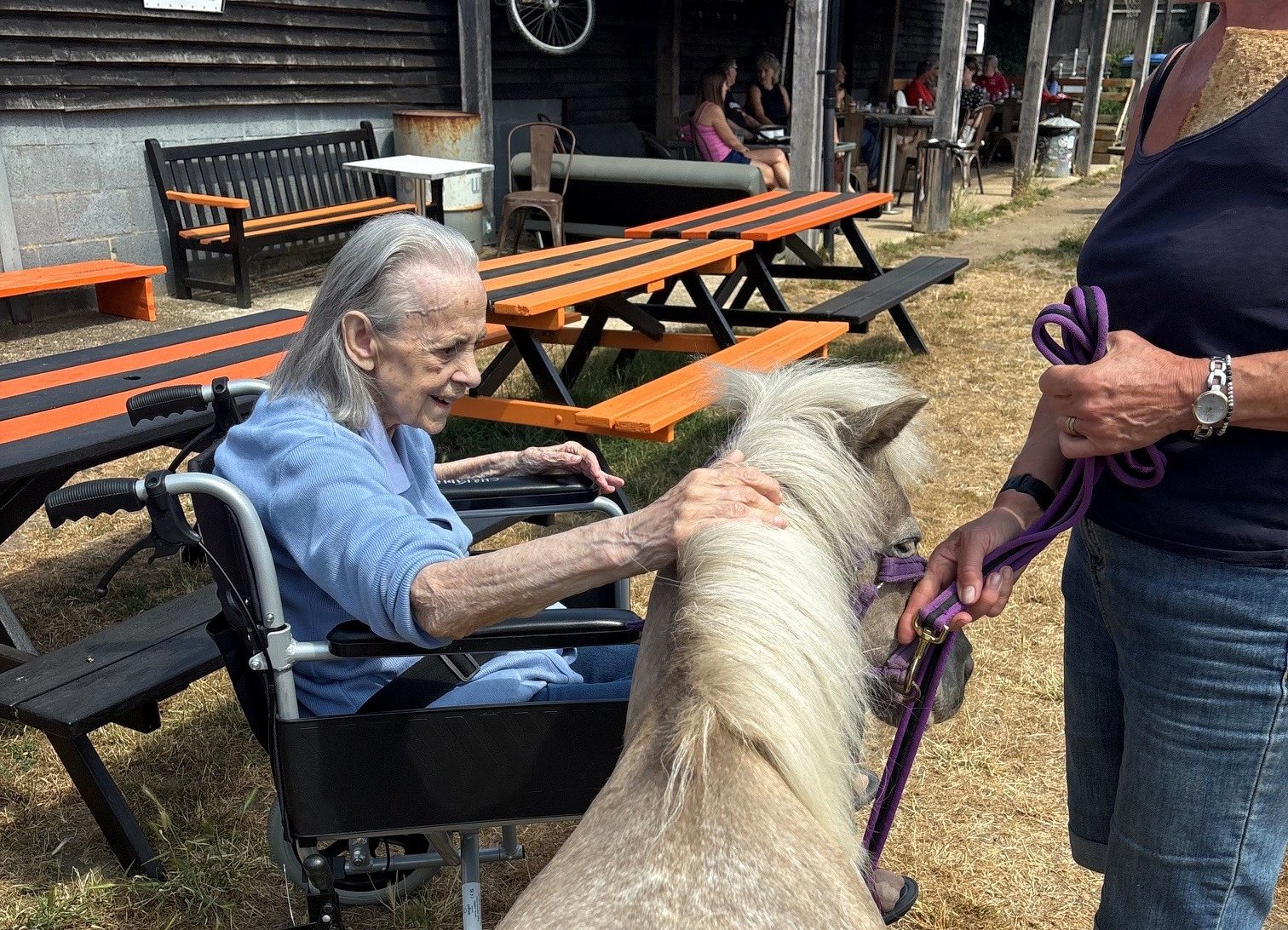farm trip 2 Wellbeing Wisden e1784551888508