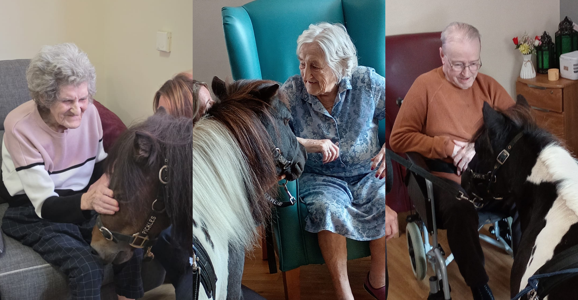 Press release image meeting the ponies 2